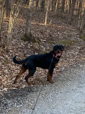 The Importance of Vitamin D