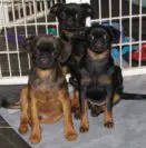 Skin problems Part I – Allergies or Food Intolerances