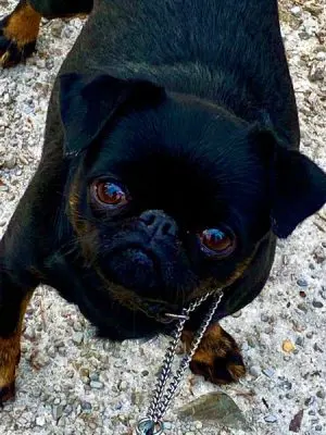 Newsletter Directory by Topic