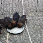 Protein